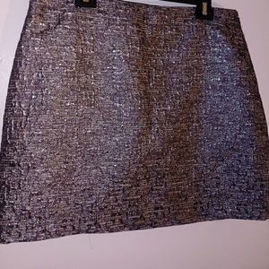 Banana Republic Metallic Mini Skirt